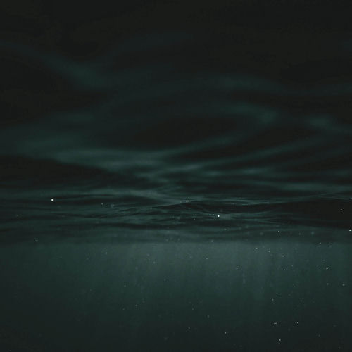 a place I've never been