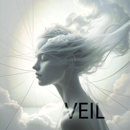 Veil