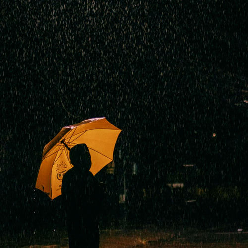 The Day the Rain Forgot to Stop