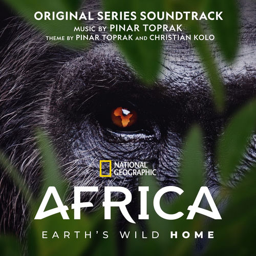 No Place Like Africa