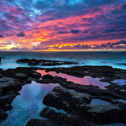 Visions of Light