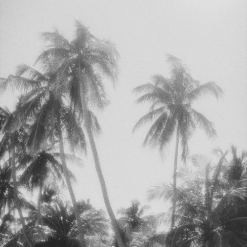 A Quiet Place Above the Sea