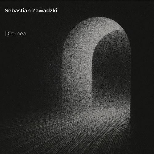 Cornea
