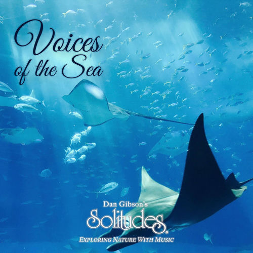 Serenade of the Seashore