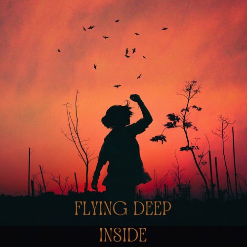 Flying deep inside