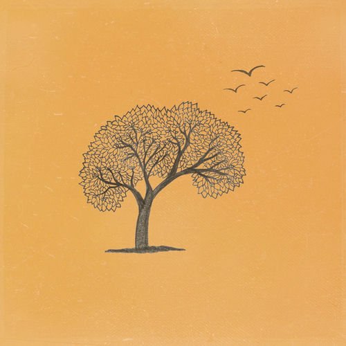 Changing Winds