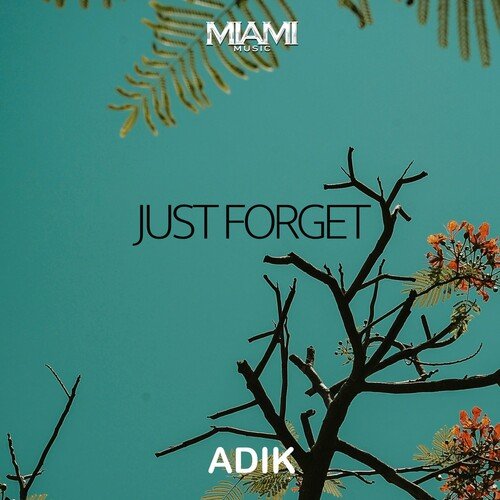 Just Forget